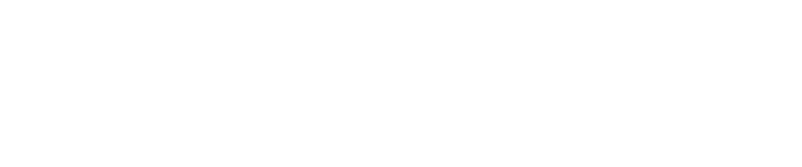 imgi_16_logoipsum-225